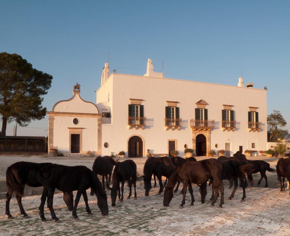 Masseria Tagliente Country house *