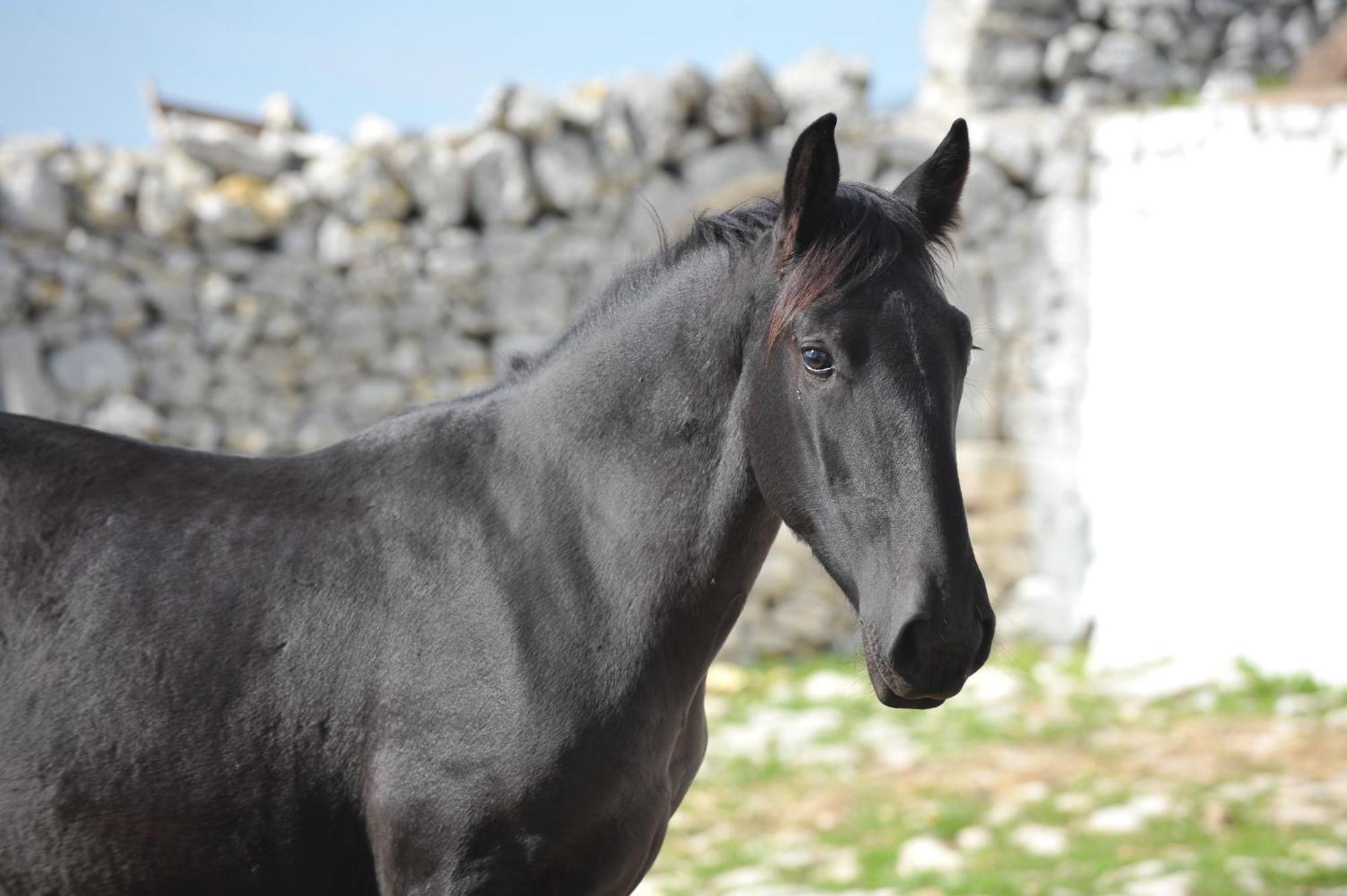 Séjour à la campagne Masseria Tagliente