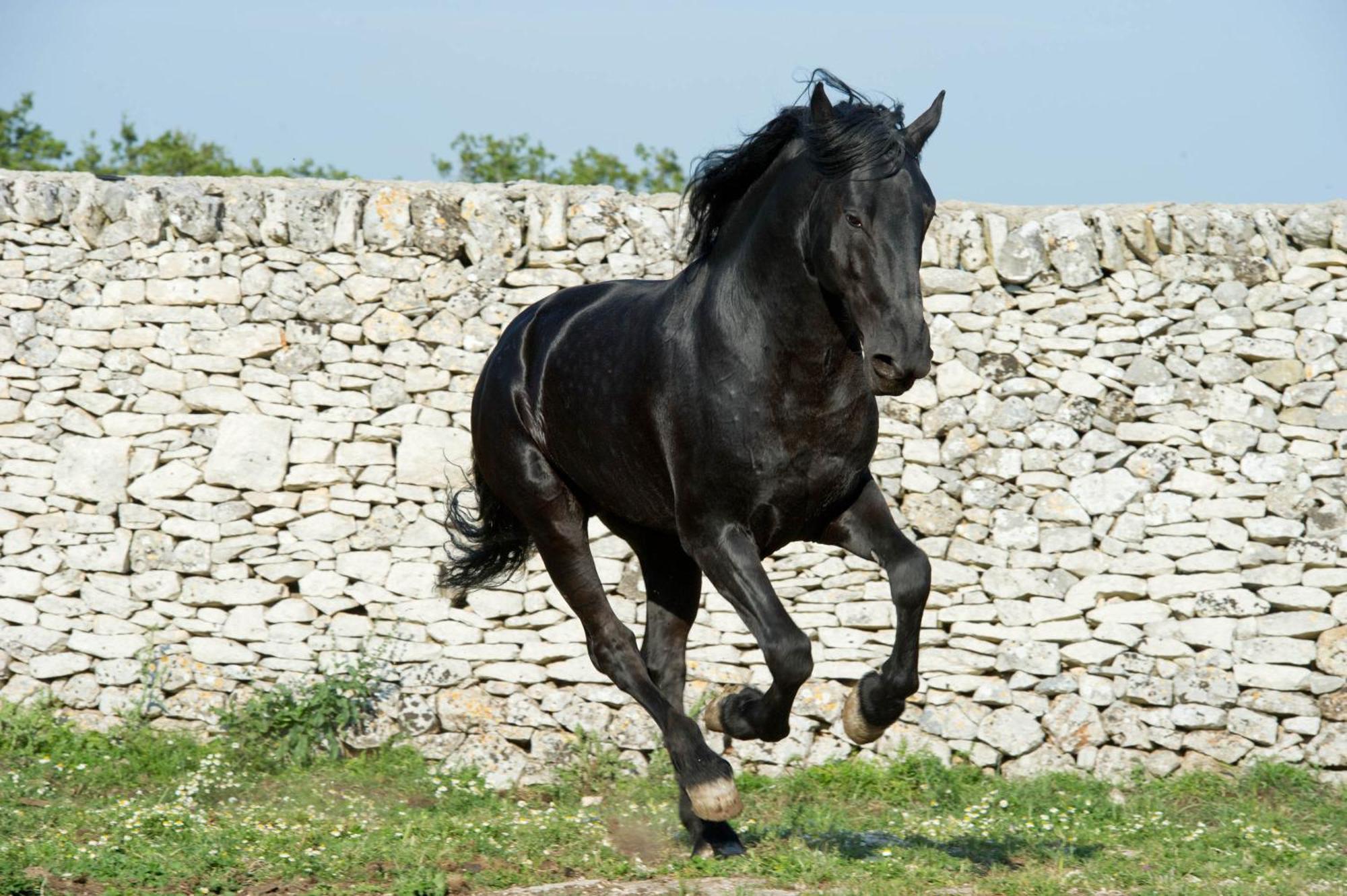 Séjour à la campagne Masseria Tagliente