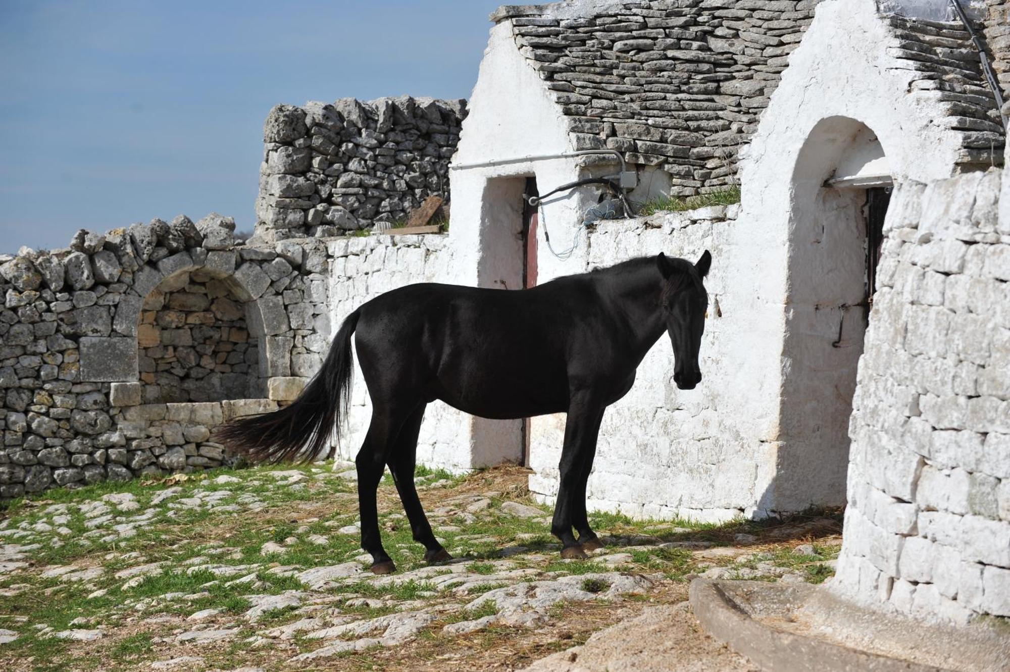 Masseria Tagliente Martina Franca